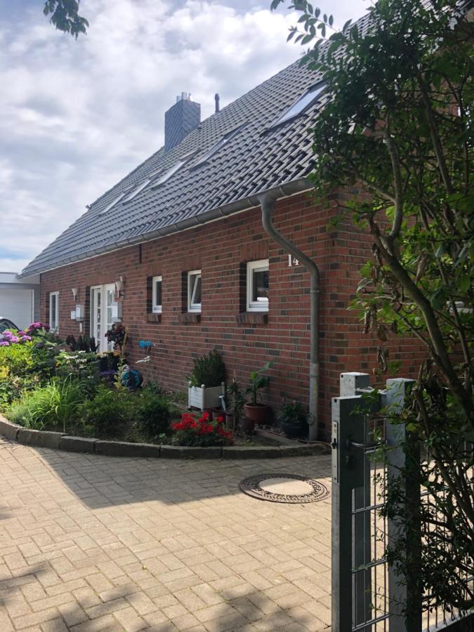 Moewe 14 * Schleswig