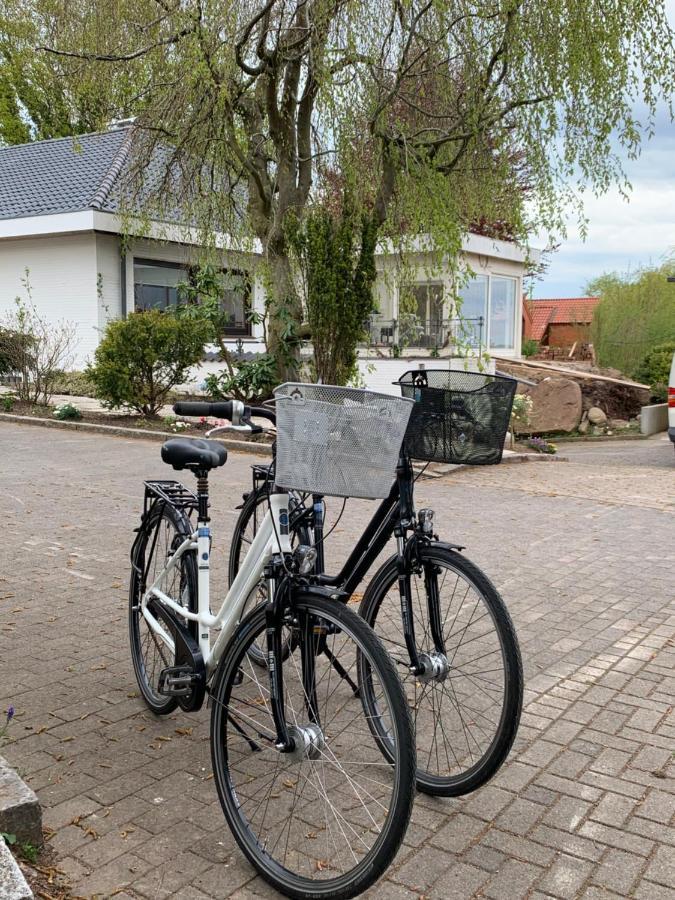 Moewe 14 * Schleswig